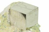 Natural Pyrite Cube In Rock - Navajun, Spain #168498-1